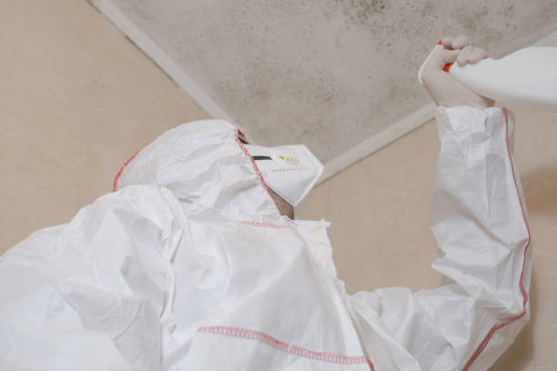 Best Certified Mold Removal  in Bryan, OH